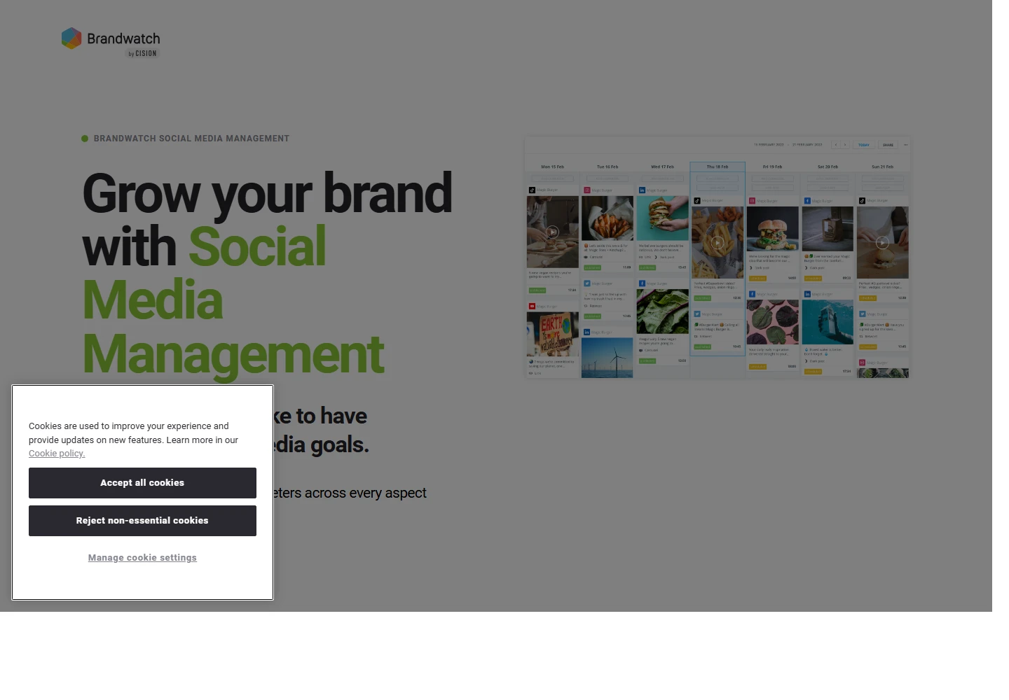 Brandwatchのランディングページ